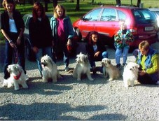 von links : Babiole, Bolero,Balou, Bonie u. Belette
