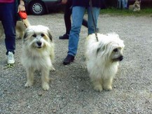 Balou und Bolero 